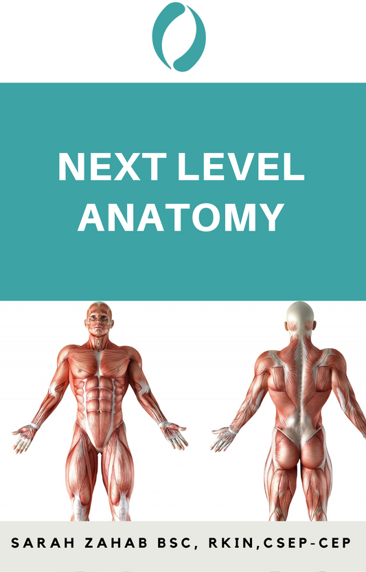 Next Level Anatomy Workshop